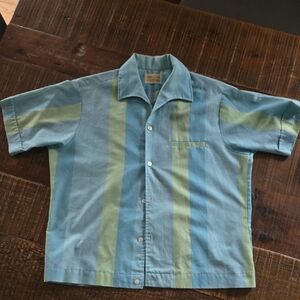 Van Heusen Casual Blue and Green Button Down Shirt